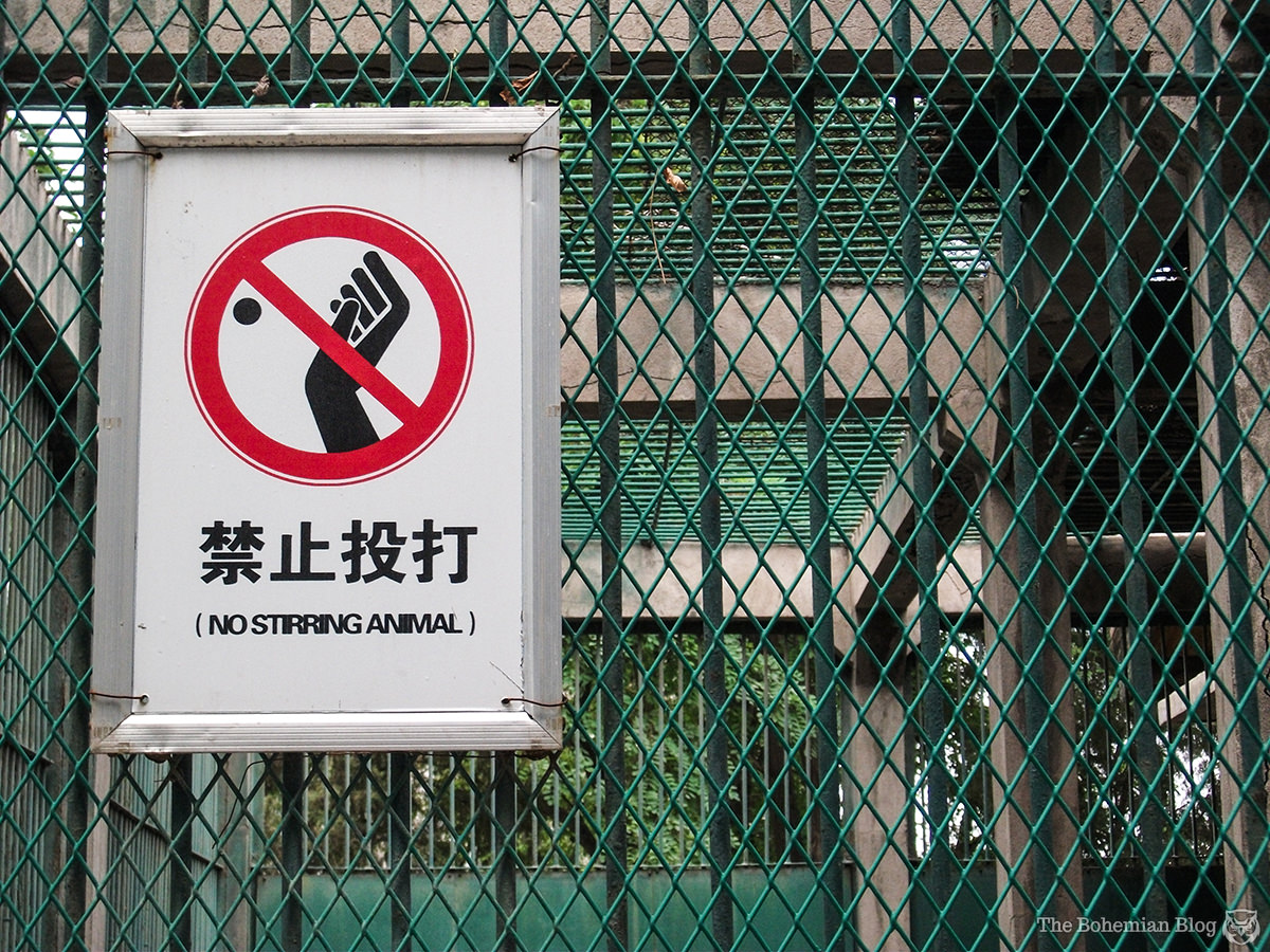 Chinglish 6-DR