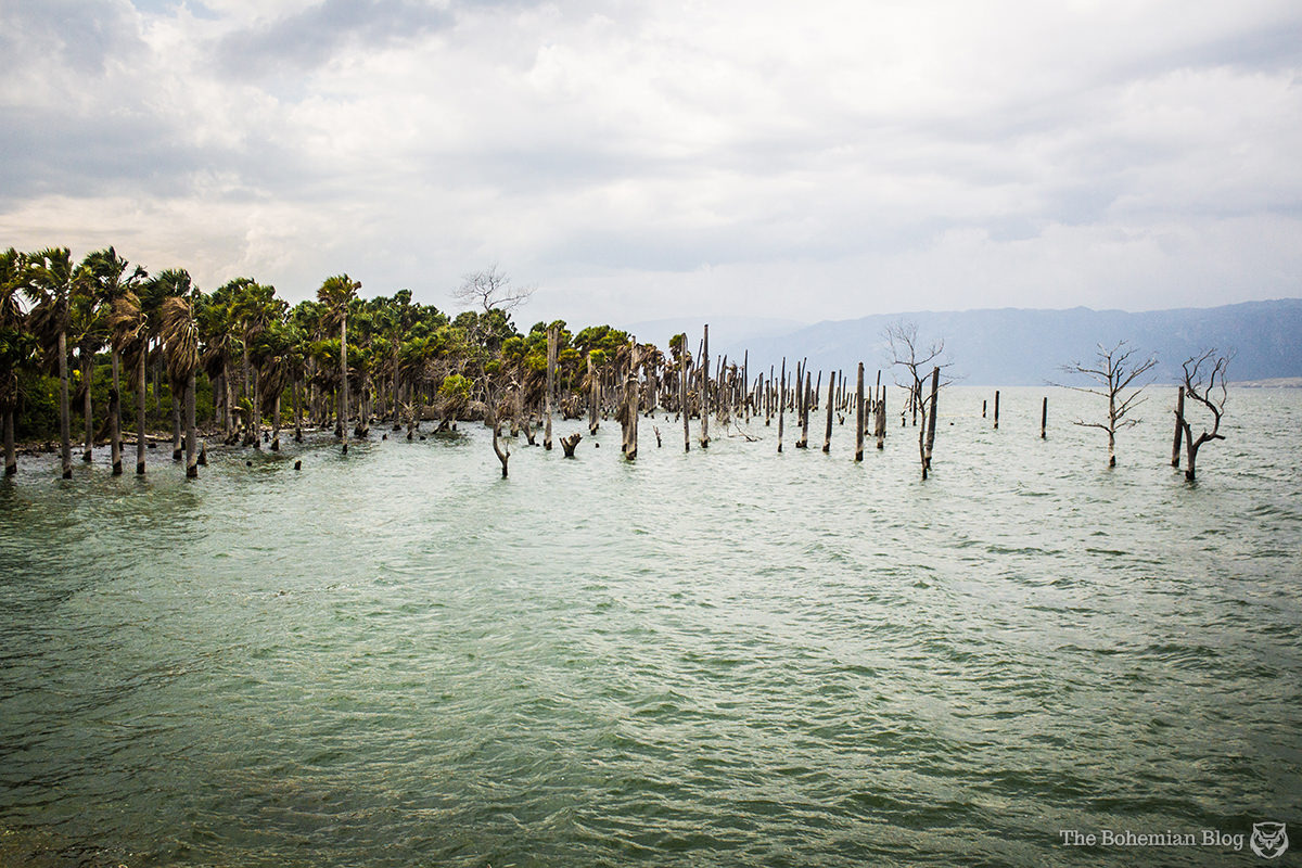Haiti Disaster Tourism 1