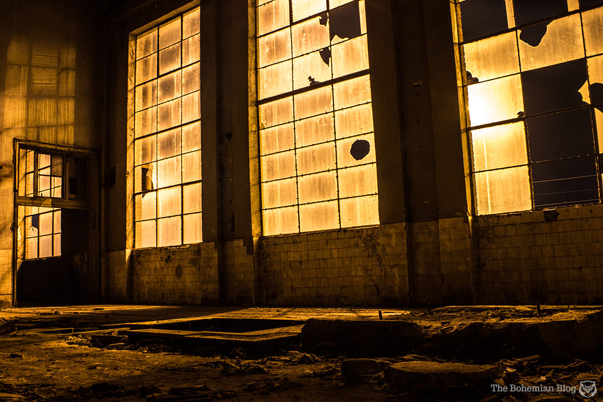 Bulgarian Industry-Cotton Plant 6
