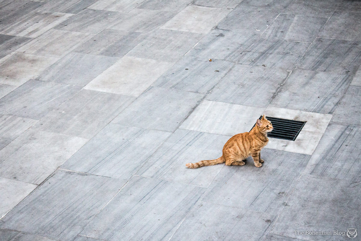 Dark Side of Istanbul-12