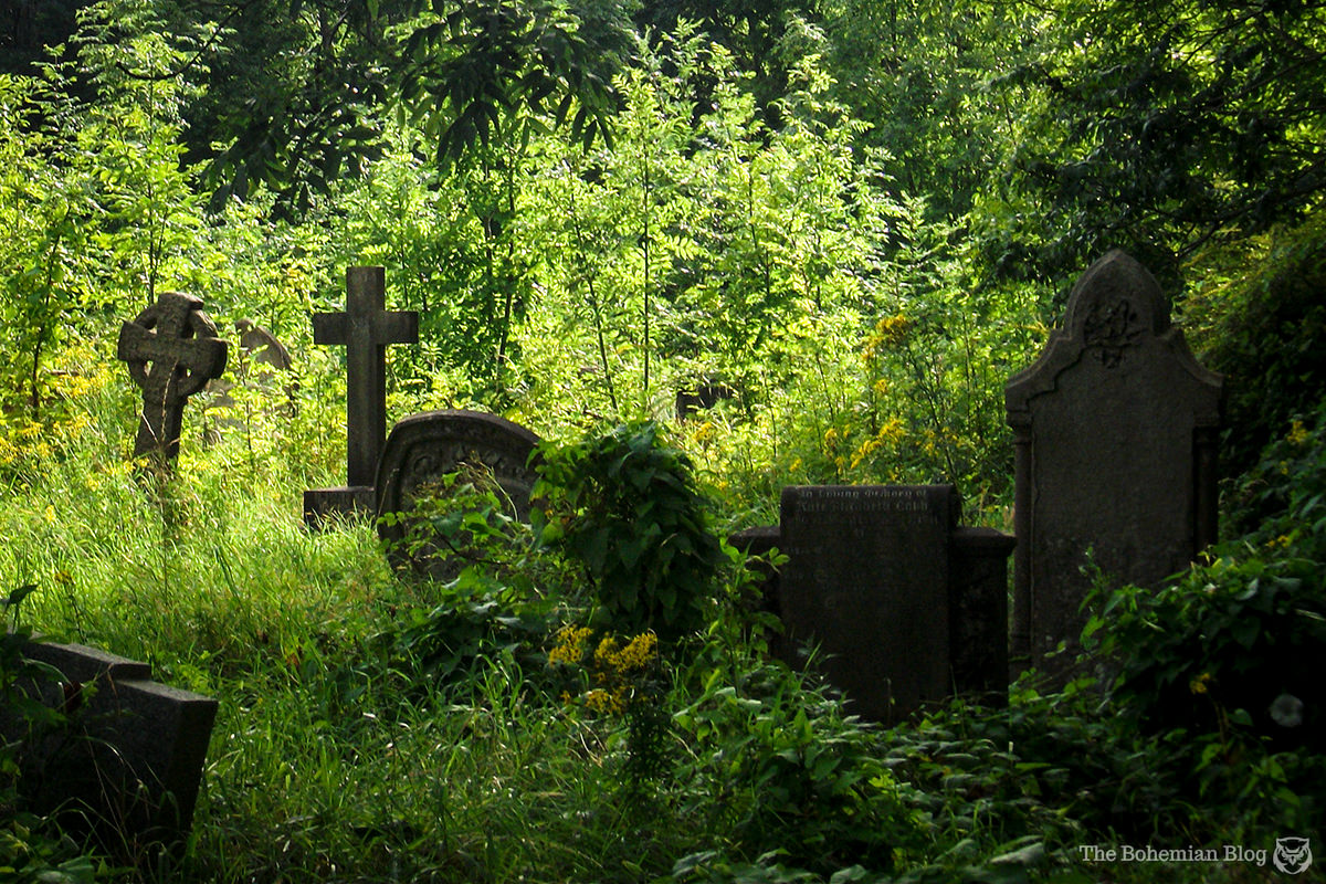 Arnos Vale Necropolis 18