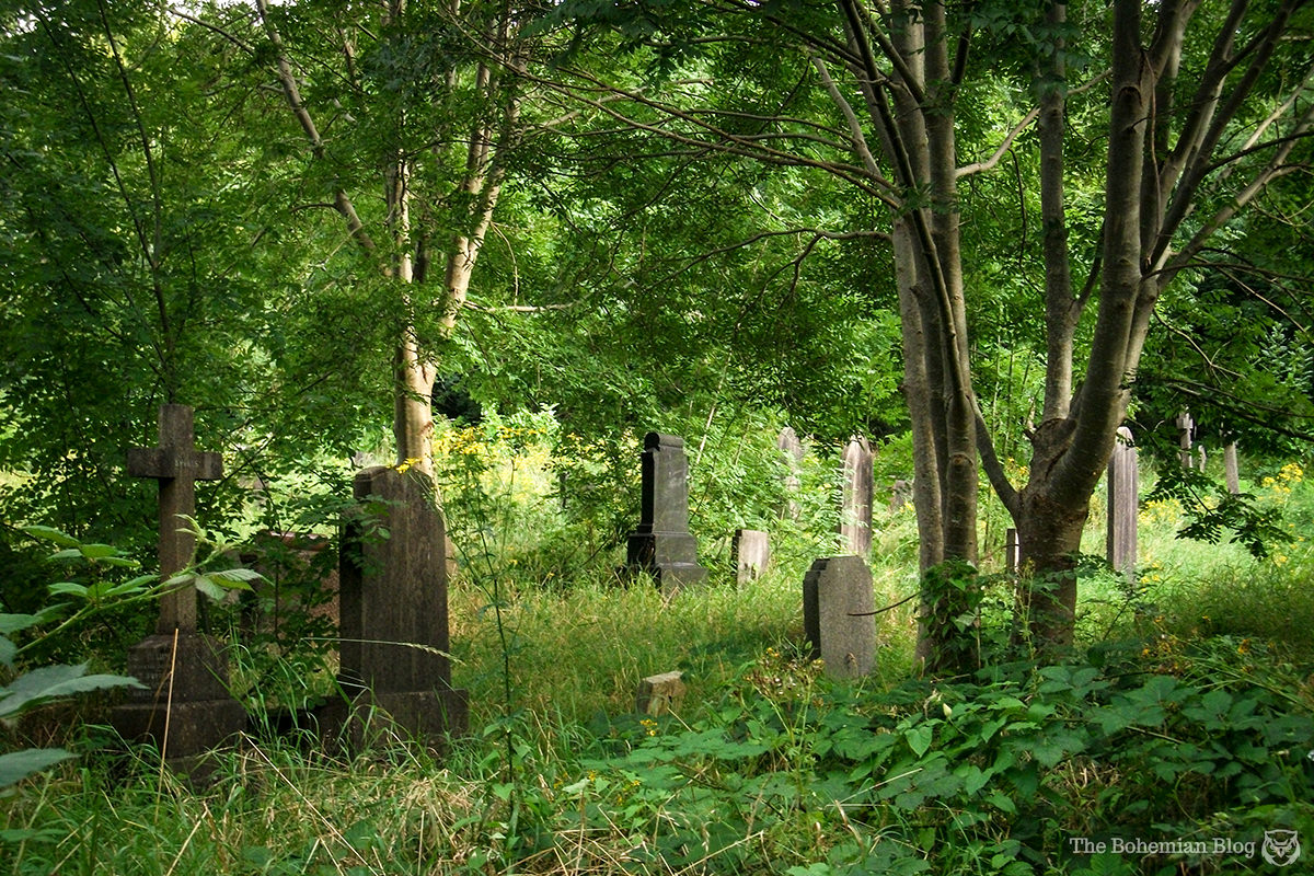 Arnos Vale Necropolis 2