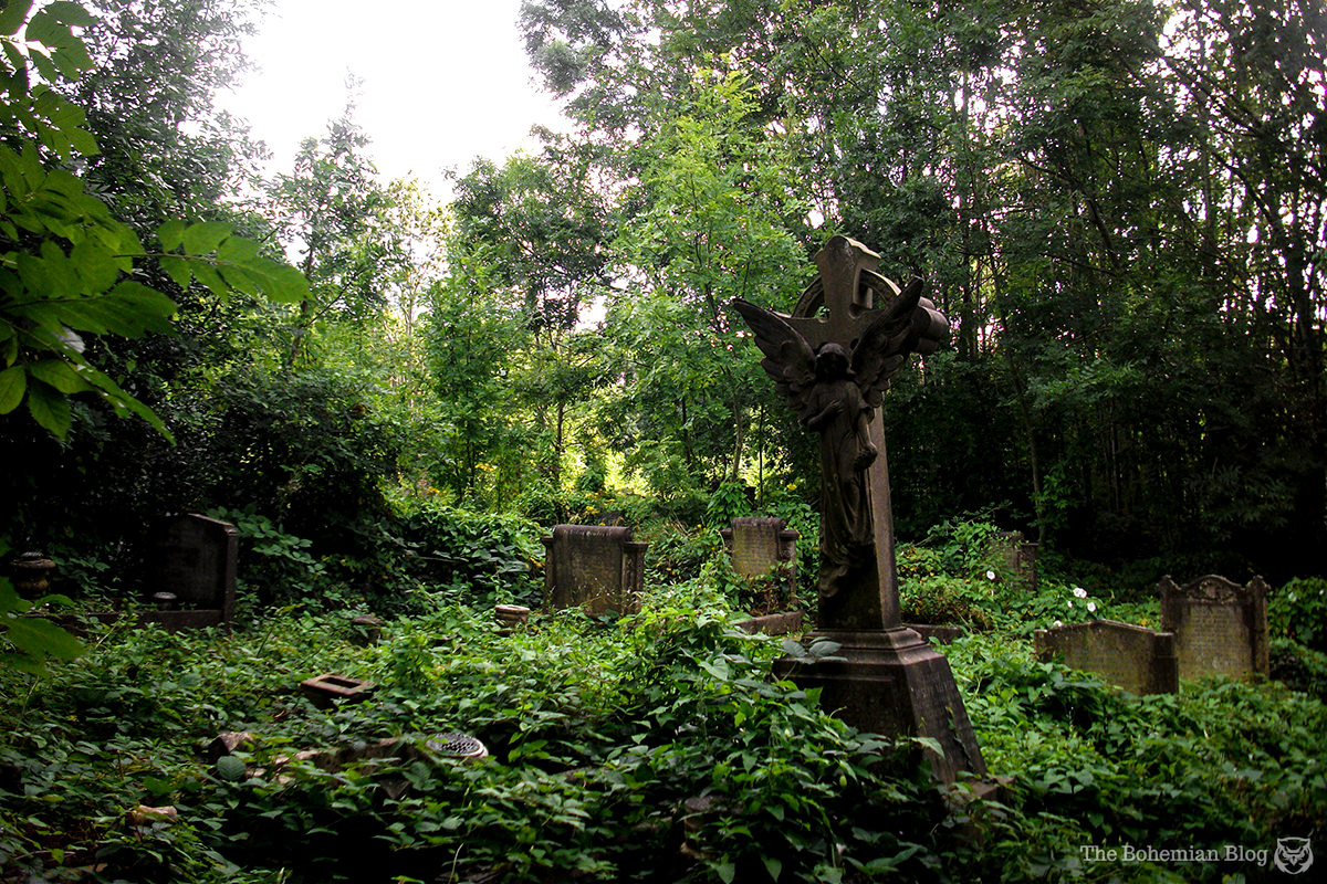 Arnos Vale Necropolis 5