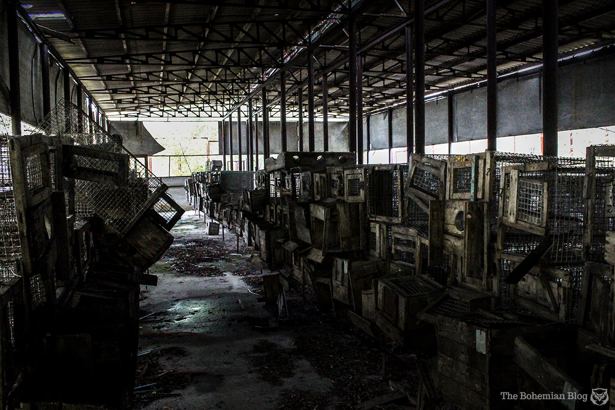 Animal cages at an abandoned farm in the Chernobyl Exclusion Zone.