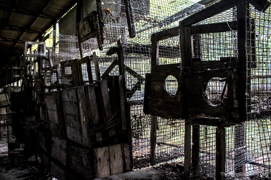 Nuclear Tourism: Exploring the Unfinished Chernobyl Reactors - Ex Utopia