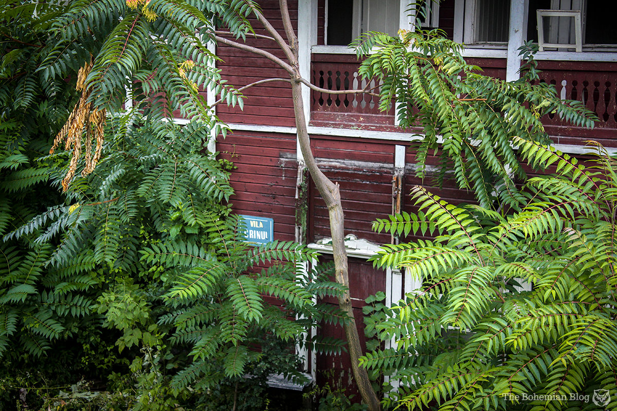 Legara Camp-3