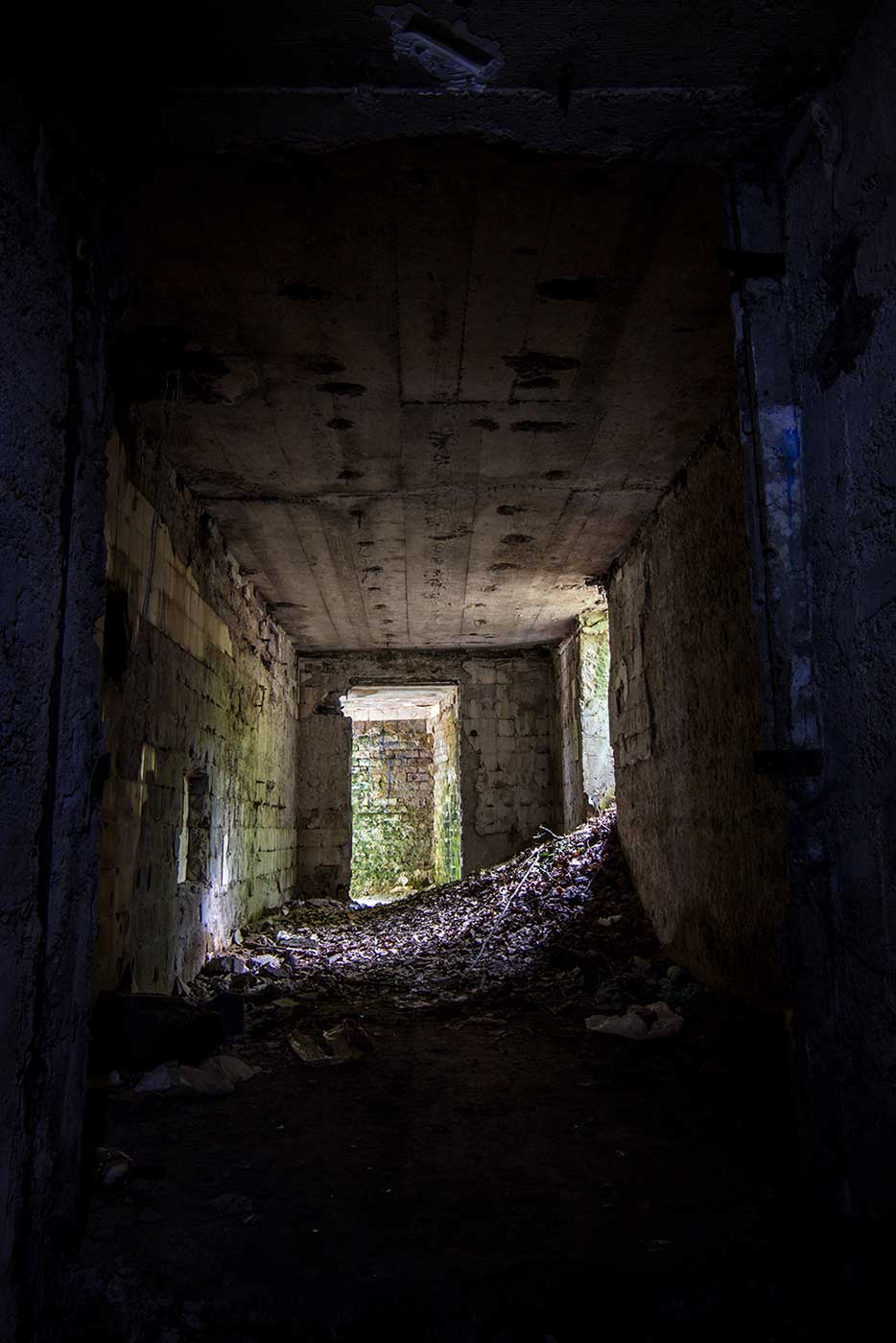 Abandoned Villa Rebar, Croatia