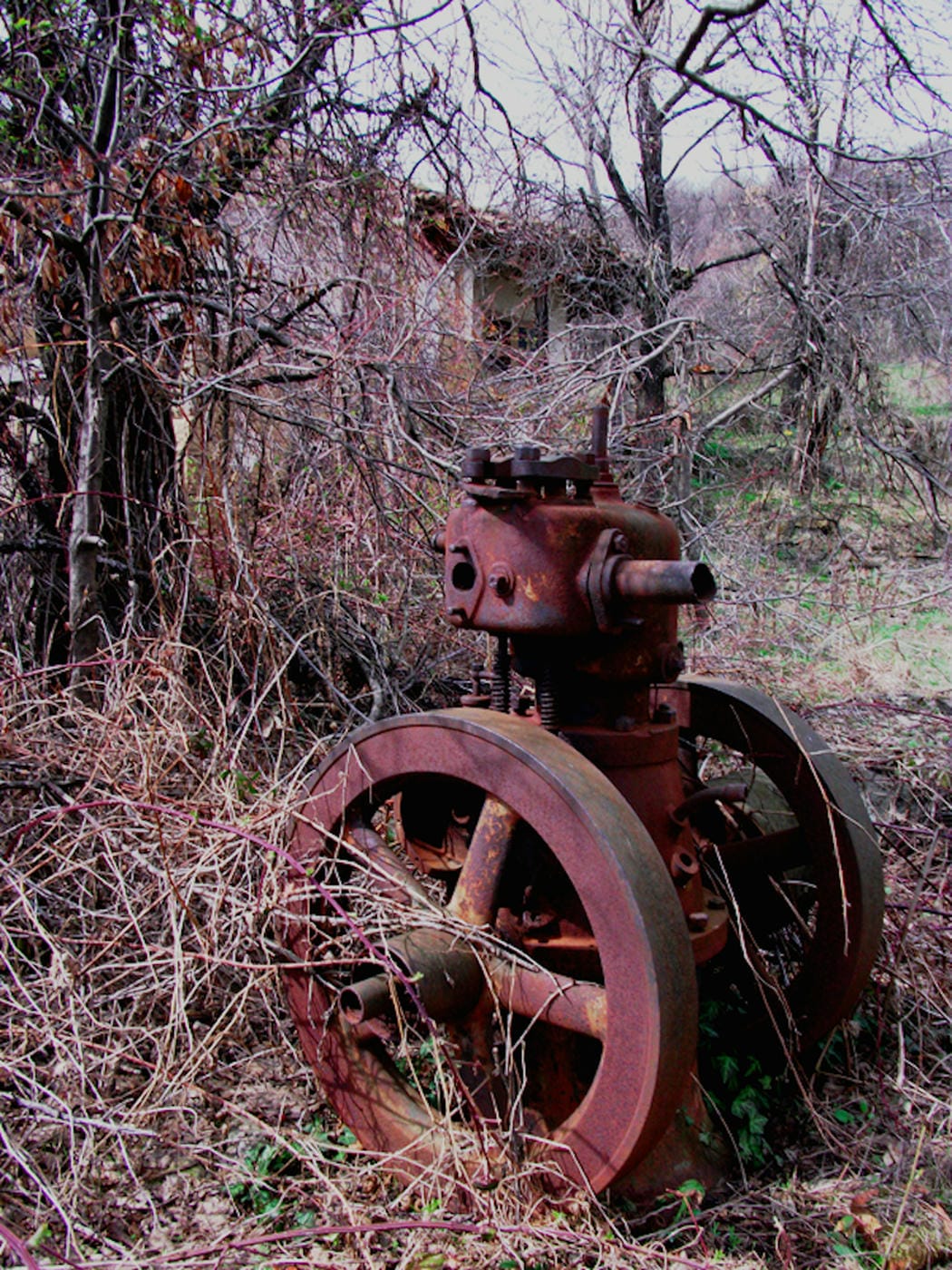 Forgotten Ghost Town in Bulgaria