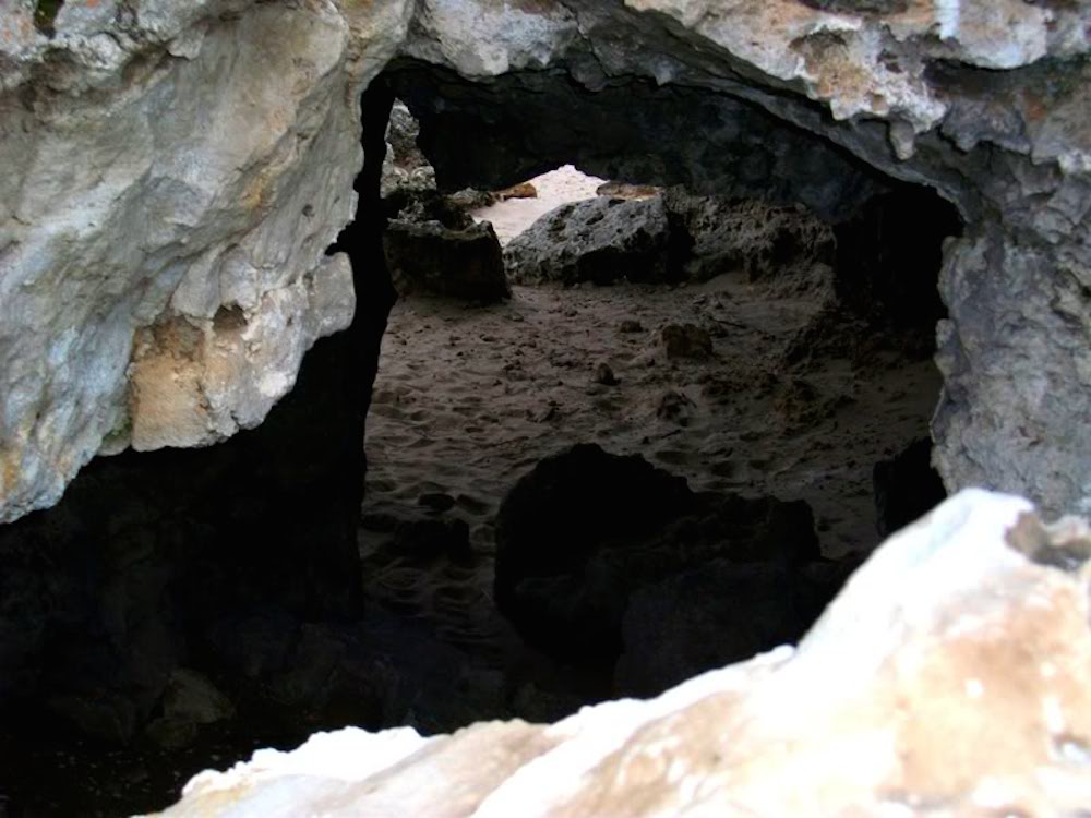 Pobiti Kamani: Bulgaria's Stone Forest near Varna