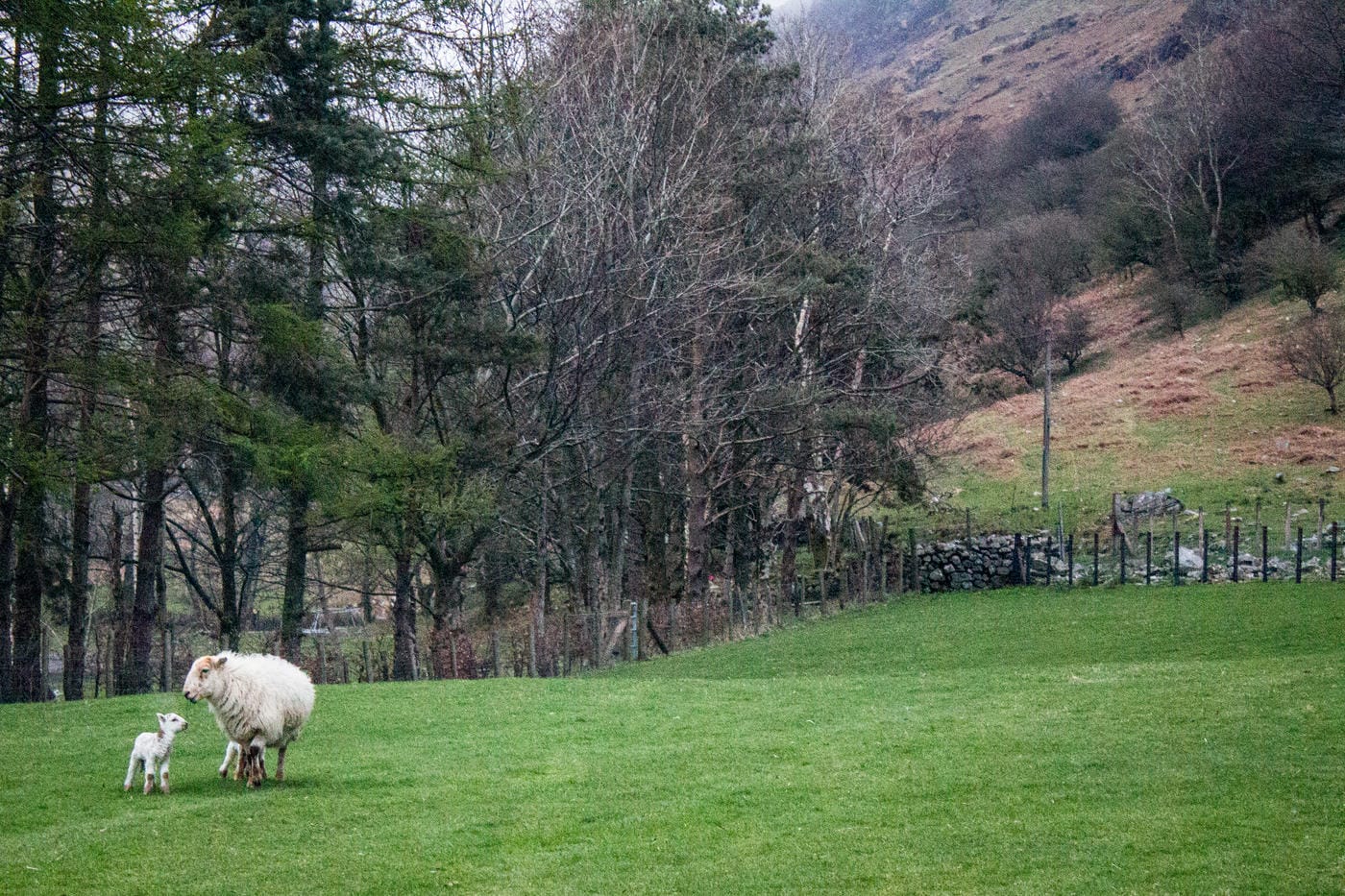 A road trip around North Wales