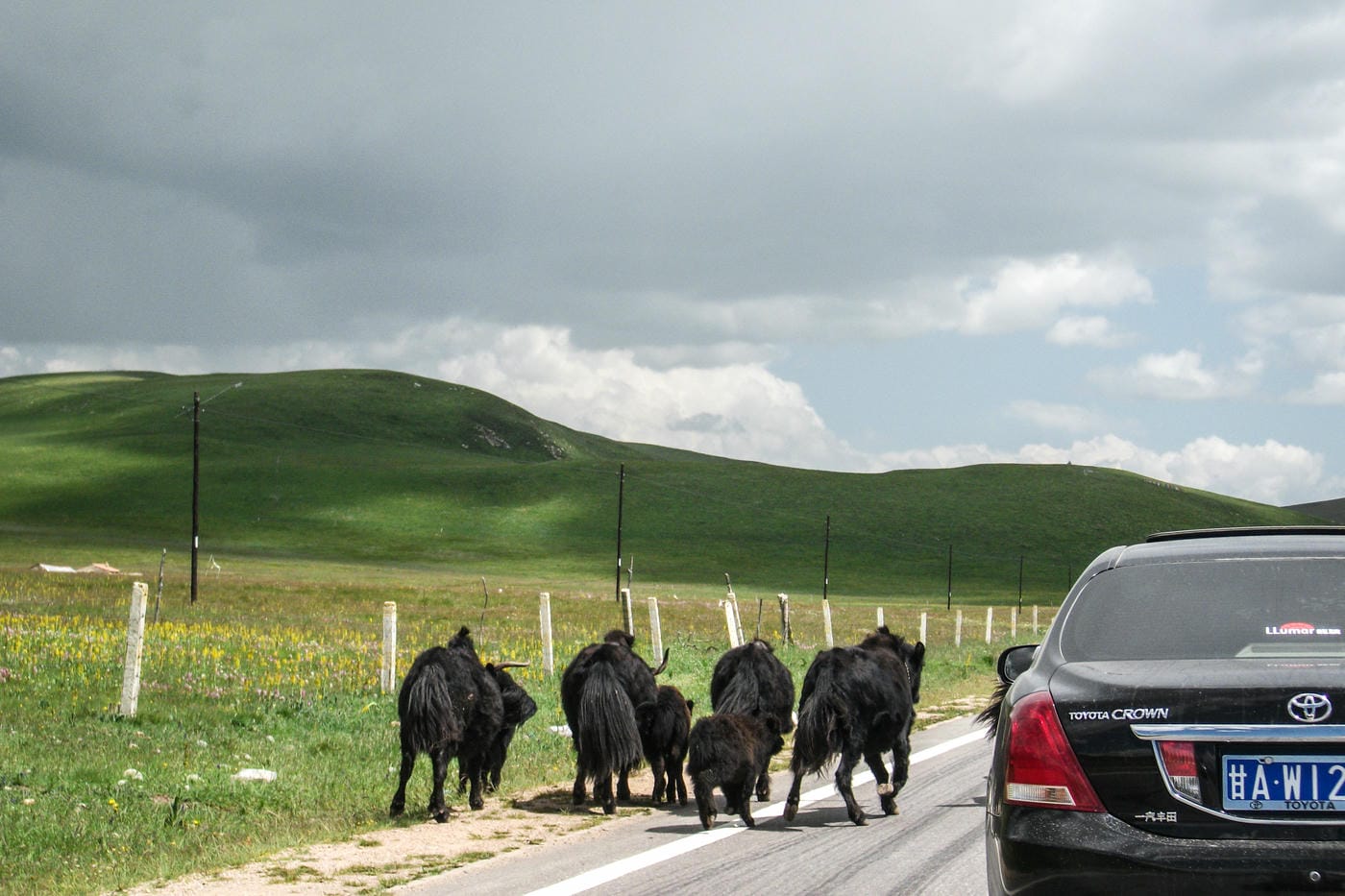A Road Trip Through the Tibetan Plateau